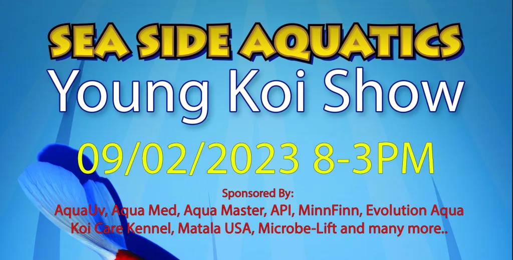 Sea Side Aquatics Young Koi Show Sept 2nd, 2023
